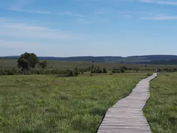 Signal de Botrange (België)